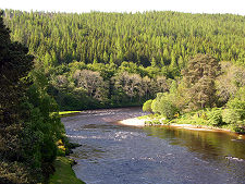 River Spey at Carron