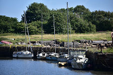 Another View of the Harbour