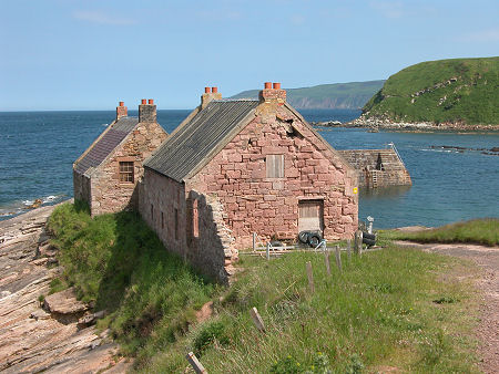 Pier Cottages and Cove Harbour