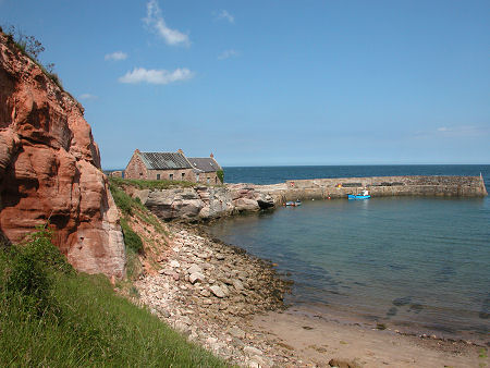 Cove Harbour from the Beach