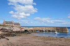 Cove Harbour at Low Tide