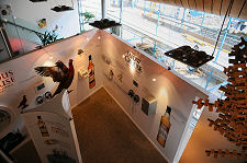 Exhibition