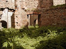 Rooms and Vegetation