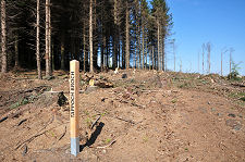 Signpost and Forest Clearance