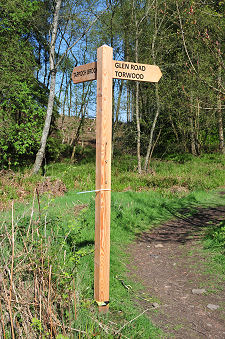 Start of Path from Track at Torwood