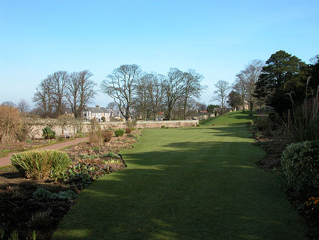 Dirleton Castle North Garden in Early Spring