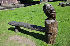 Owl and Bench