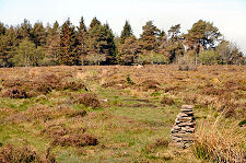 Moorland Path to Gathering Stone