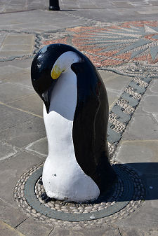 A Penguin