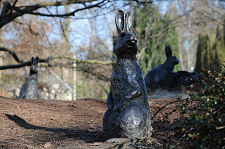 More of Peter Rabbit