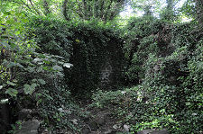 Overgrown Farm Buildings