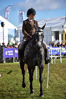 Competitor and Horse