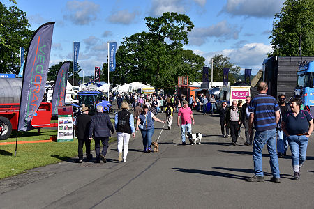 Visitors Enjoying the Show