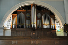 Organ 