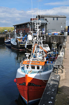 New Harbour and Fishmarket
