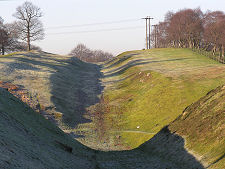 A View of the Ditch