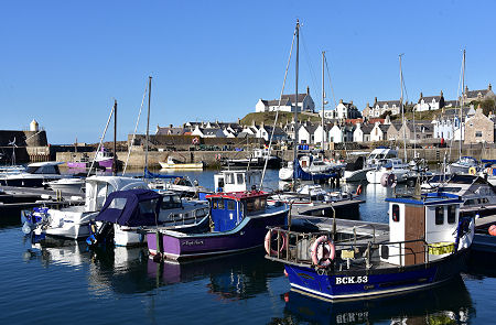 The Harbour in Evening Light