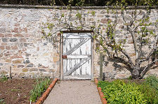 Gate In Walled Garden