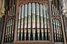 The Organ