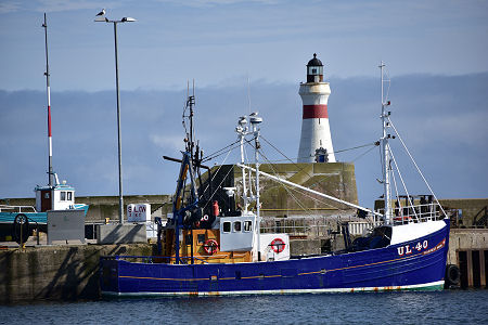 Harvest Moon, Registered in Ullapool