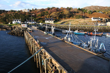 The Harbour in Autumn Light