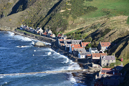 Crovie from the South