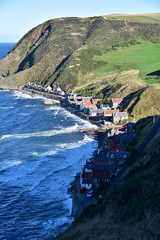 Crovie from Above