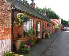 Cottage With Flowers