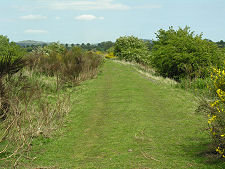 Trackbed of the Old Railway