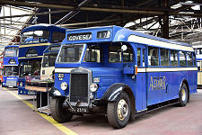 Leyland Lion