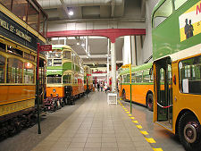 Buses and Trams
