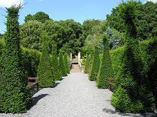 Topiary in the Gardens