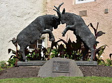 The Goats of Haddington