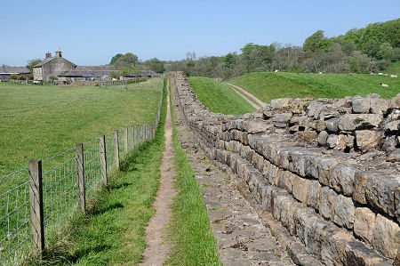 Looking Along the Wall Towards Willowford Farm