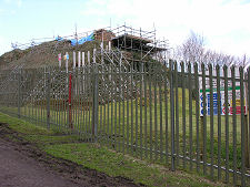 Another View of the Fence