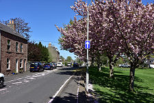 Sunnyside