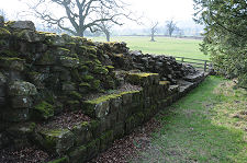 North Side of the Wall