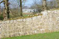 Angle of Slope of the Wall