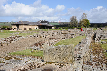 Part of the Excavated Area, with the Museum in the Background