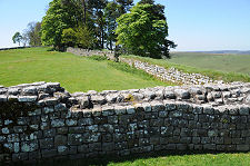 Hadrian's Wall West of the Fort