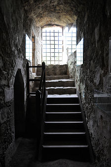 Steps to Side Door