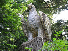 Carved Golden Eagle
