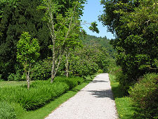 One of the Garden Paths