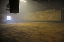 Smoking the Malted Barley in the Kiln