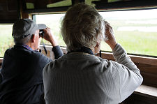 Birdwatching from the Hide