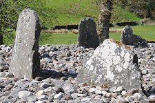 Some of the Stones in the Ring