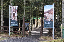 Entrance to the Forest Habitat