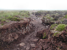 The Old Boggy Path: Long Gone