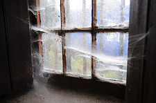 Cobwebbed Window