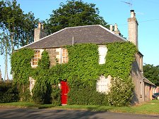Ivy Clad House